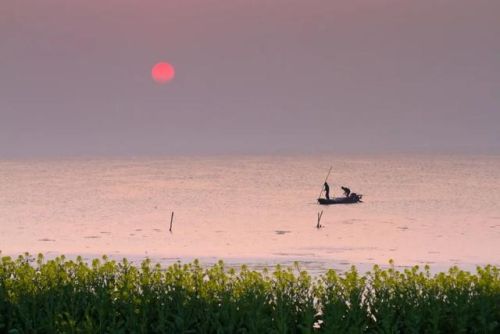 国内小说排行榜前十名(十大完结巅峰神作小说)插图5 国内小说排行榜前十名(十大完结巅峰神作小说)插图5