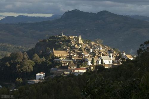 木薯排行榜(木薯有几种品种图片)插图7