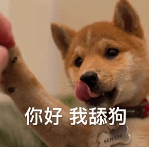 2018年手机排行榜(2018年公认最好的手机)