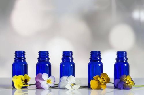 美容院专用精油排行榜(十大精油品牌精油排行榜)