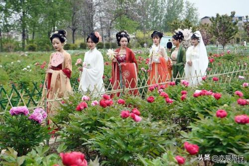 菏泽好玩的地方排行榜(菏泽一日游必去景点)插图2 菏泽好玩的地方排行榜(菏泽一日游必去景点)插图2