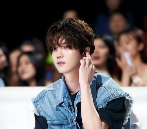 明星排行榜鹿晗排第几(鹿晗在中国人气排第几)插图8 明星排行榜鹿晗排第几(鹿晗在中国人气排第几)插图8