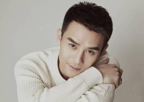 最帅男明星排行榜2017(中国男明星排行榜100名照片)插图3