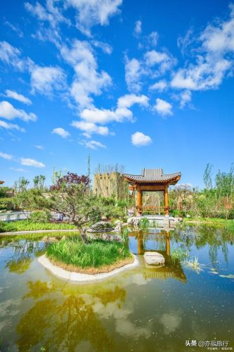 菏泽好玩的地方排行榜(菏泽一日游必去景点)插图15 菏泽好玩的地方排行榜(菏泽一日游必去景点)插图15