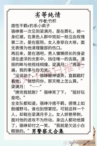 警察小说排行榜前十名(刑侦必看的十本书)插图4 警察小说排行榜前十名(刑侦必看的十本书)插图4