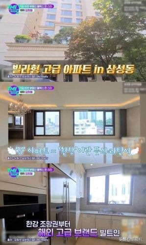 明星豪宅排行榜图片集(豪宅排名)插图16