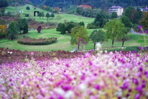 千岛湖景点排行榜(千岛湖风景区景点介绍)插图15