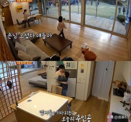 明星豪宅排行榜图片集(豪宅排名)插图5