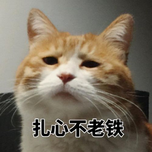 男士大牌护肤品排行榜(全球十大顶级男士护肤品牌)插图1