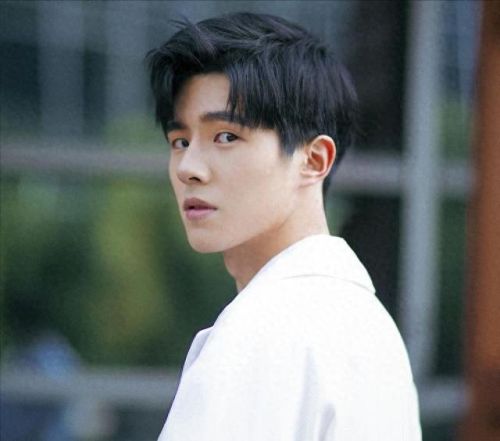 明星排行榜鹿晗排第几(鹿晗在中国人气排第几)插图 明星排行榜鹿晗排第几(鹿晗在中国人气排第几)插图