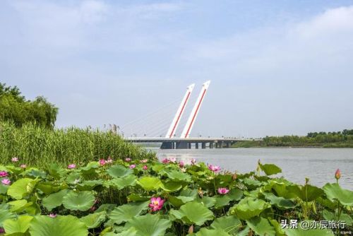 菏泽好玩的地方排行榜(菏泽一日游必去景点)插图3 菏泽好玩的地方排行榜(菏泽一日游必去景点)插图3