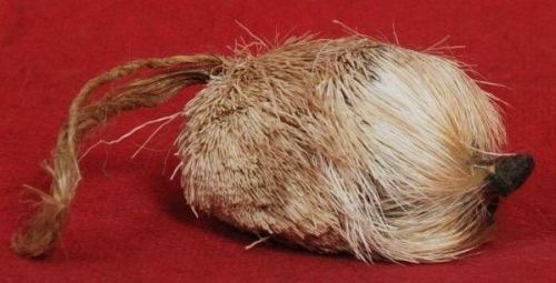 最贵的中药材排行榜(中国十大名贵药材)插图2