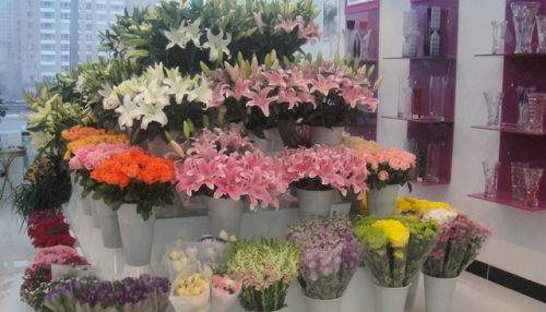 北京花店加盟店排行榜(加盟花店哪个品牌好)插图7 北京花店加盟店排行榜(加盟花店哪个品牌好)插图7
