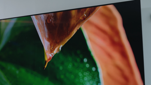 乐华名牌电视机排行榜(65寸电视哪个牌子好)插图34