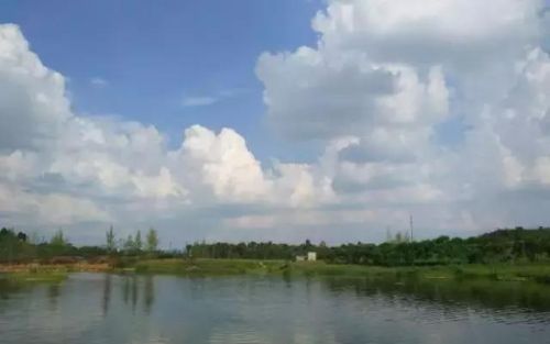 双流附近农家乐排行榜(成都华阳农家乐推荐排行榜)插图6