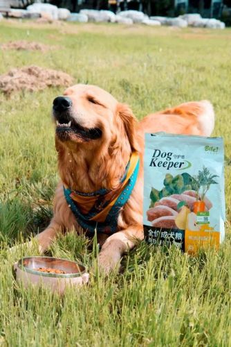 天猫狗粮品牌排行榜(国内狗粮品牌十大排行)