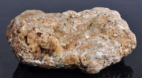 最贵的中药材排行榜(中国十大名贵药材)插图