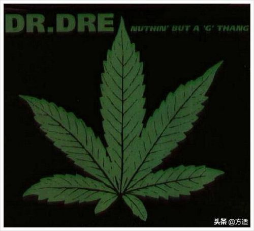 外国说唱歌曲排行榜(美国公认的十大rapper)插图11 外国说唱歌曲排行榜(美国公认的十大rapper)插图11