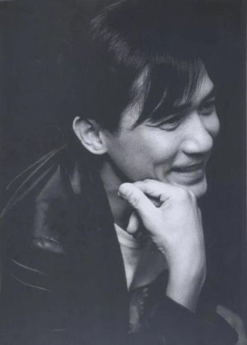 帅的明星男明星排行榜(中国公认十大美男)插图5