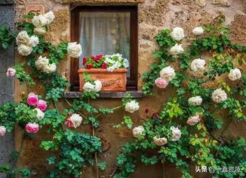 推荐总裁文小说排行榜(晋江十大出名霸道总裁小说)