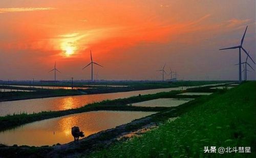 南通好玩的地方排行榜(南通必去景点排名)插图47