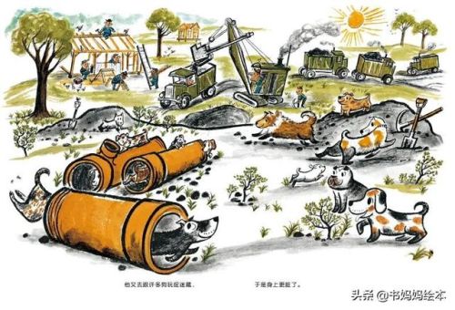 人气总排行榜狗狗书籍(哪些养狗的书比较实用)插图7