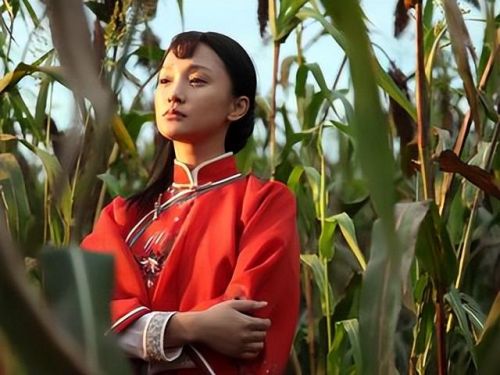 一线女星片酬排行榜(2023年中国片酬排行榜)插图16