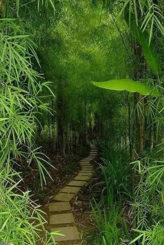 世界风景区排行榜(国内必去的景点排行榜)插图24