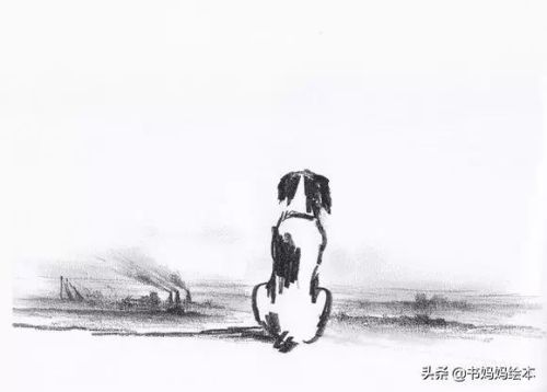 人气总排行榜狗狗书籍(哪些养狗的书比较实用)插图51