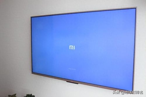 全球电视排行榜前十名(十大名牌电视排名表)插图