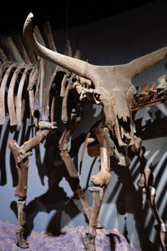 千岛湖景点排行榜(千岛湖风景区景点介绍)插图64