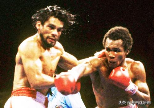 排行榜拳皇(全球拳皇玩家排名实力排名)