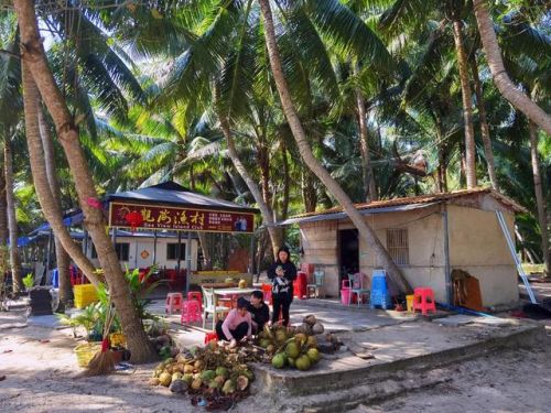 文昌市旅游景点排行榜(文昌必游的四大景点)插图11