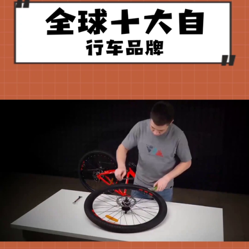 全球自行车品牌排行榜(世界10大顶级自行车品牌)