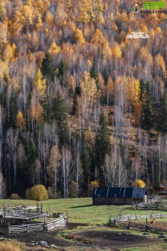 九月国内旅游排行榜(国内必去的景点排行榜)插图14