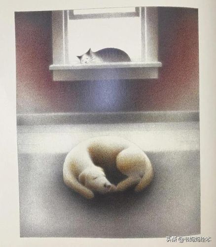 人气总排行榜狗狗书籍(哪些养狗的书比较实用)插图44