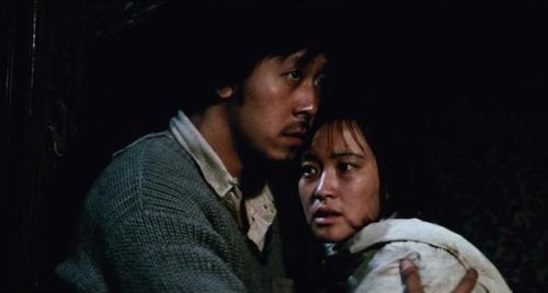 爱情大片排行榜前十名(必看的经典爱情电影)插图41