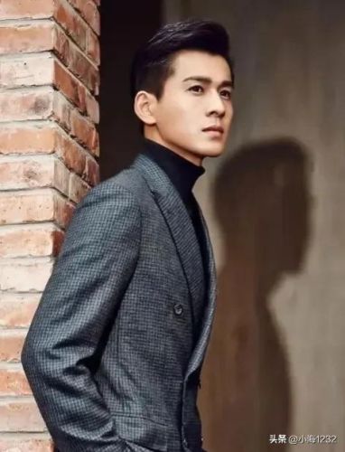 邢昭林男明星排行榜(邢昭林长得像谁)插图31 邢昭林男明星排行榜(邢昭林长得像谁)插图31