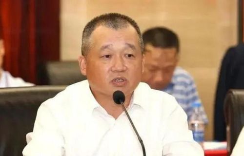 广东省东莞富豪排行榜(东莞厚街富豪榜100名)插图6