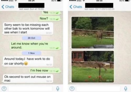 什么软件最火排行榜(目前最火的app有哪些)插图7 什么软件最火排行榜(目前最火的app有哪些)插图7