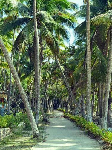 文昌市旅游景点排行榜(文昌必游的四大景点)插图10