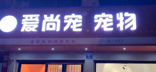 小宠物加盟店排行榜(宠物店加盟大概要多少钱)