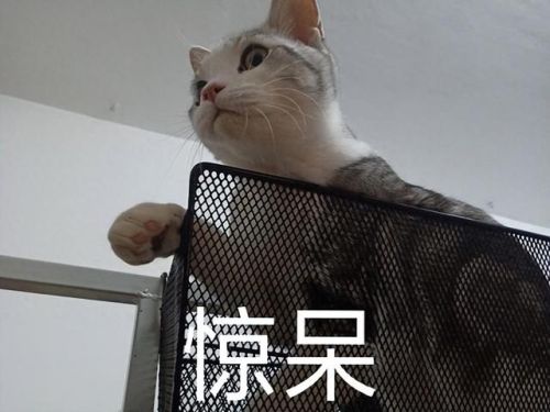 三国主题的手游排行榜(比较好玩的三国手游)插图 三国主题的手游排行榜(比较好玩的三国手游)插图