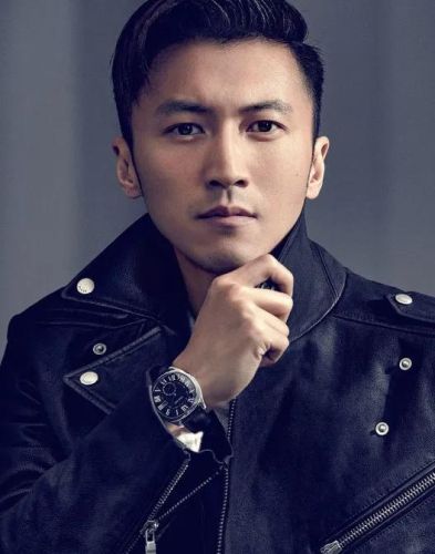 帅的明星男明星排行榜(中国公认十大美男)插图6