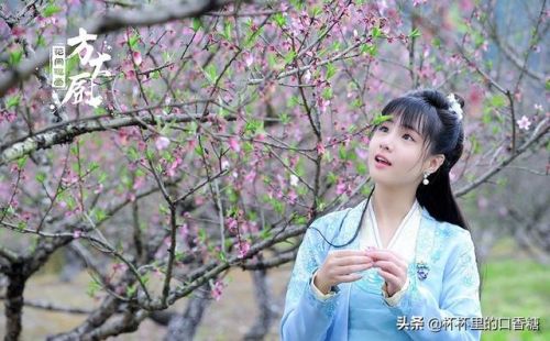 2017言情剧排行榜(评分最高的言情电视剧)插图8