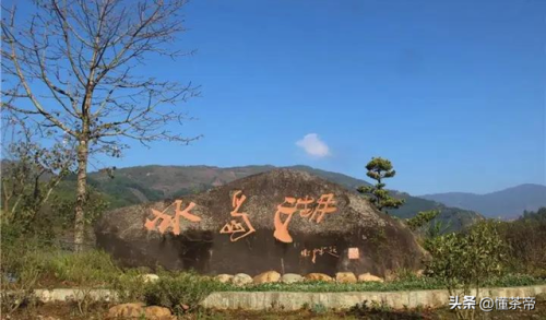 最贵的普洱茶叶排行榜(最贵的普洱茶多少钱一饼)插图9