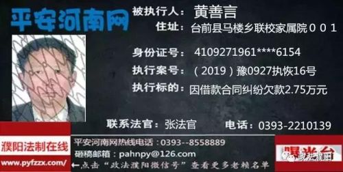 2017台前老赖排行榜(广东台山老赖名单查询)插图14