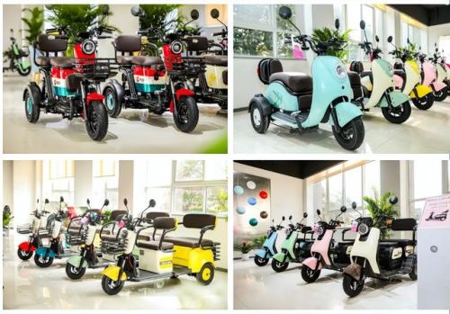 全国三轮电动车排行榜(全封闭电动三轮篷车排名前十名)插图2