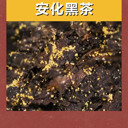 茶叶品牌价值排行榜(中国十大茶叶价格排名)插图