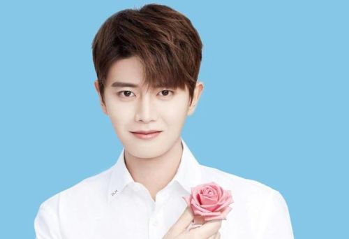 明星排行榜鹿晗排第几(鹿晗在中国人气排第几)插图3 明星排行榜鹿晗排第几(鹿晗在中国人气排第几)插图3